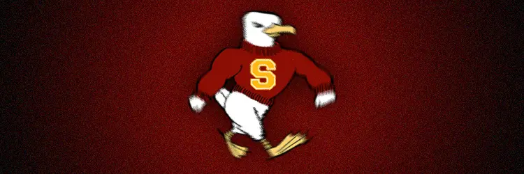 Salisbury University Banner
