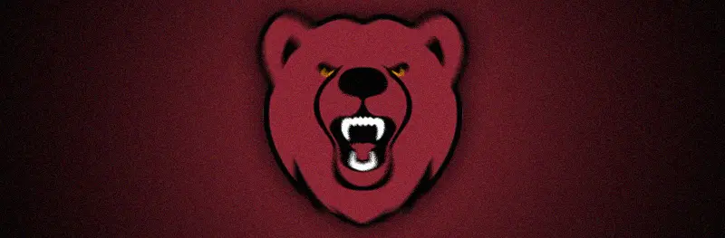 Ursinus College Banner