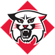 Davidson Football