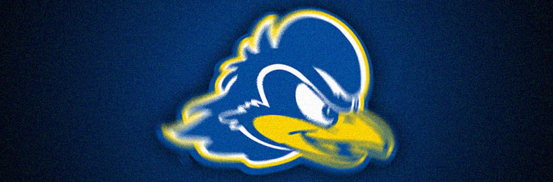 Delaware Banner
