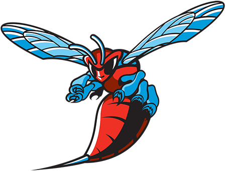 Delaware State Football