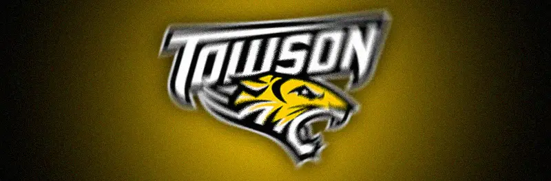 Towson Tigers Banner