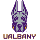 University of Albany Football