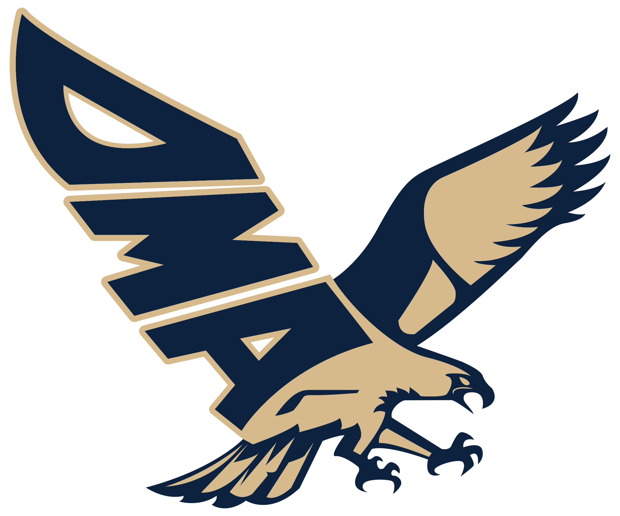 Delaware Military Academy Football
