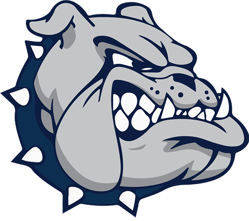 Nether Providence Bulldogs Football