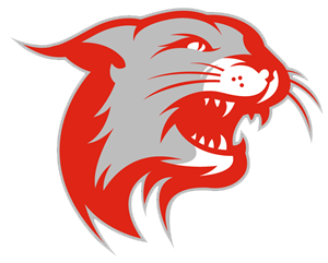 Owen J. Roberts Football