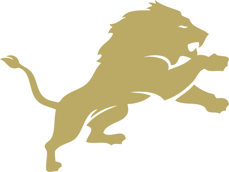 Pope John XXIII Lions NJ Football